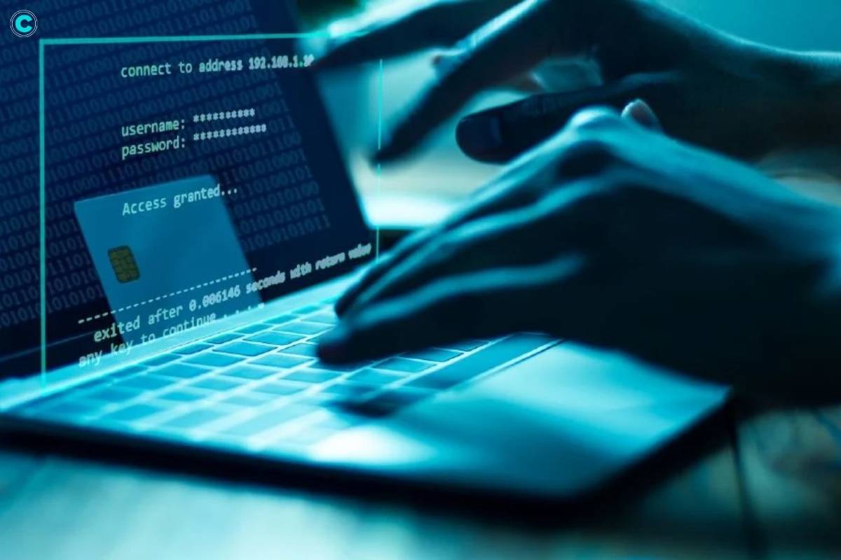 Understanding and Combating Cyber Frauds: Navigating the Digital Jungle | CyberPro Magazine