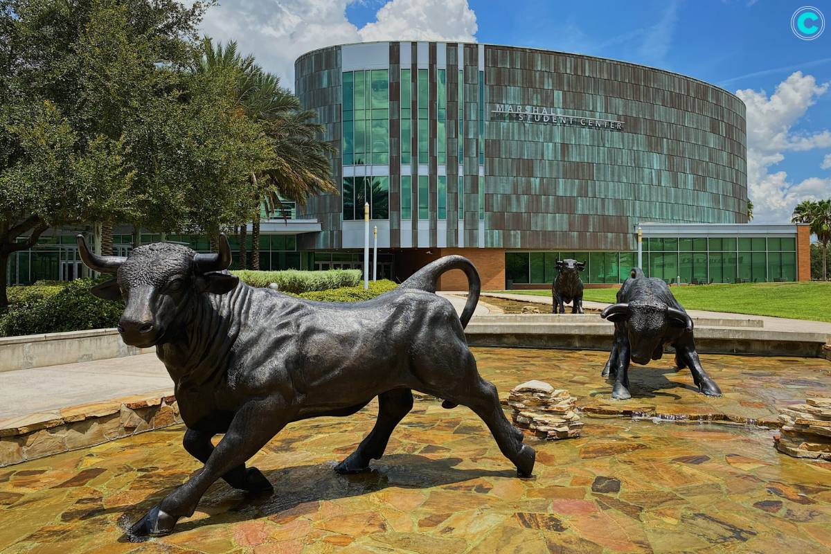 University of South Florida Propels AI and Cybersecurity Education | CyberPro Magazine