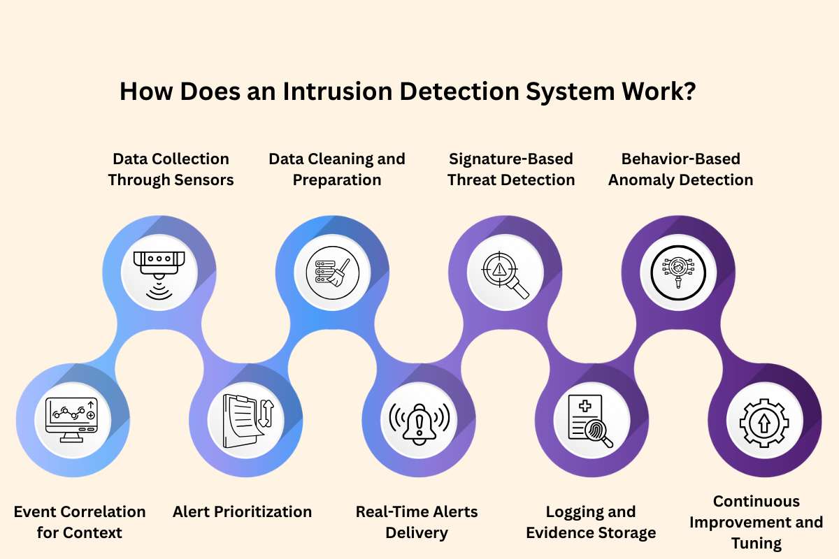 Intrusion Detection System: Spot Hackers Before 2026 | CyberPro Magazine
